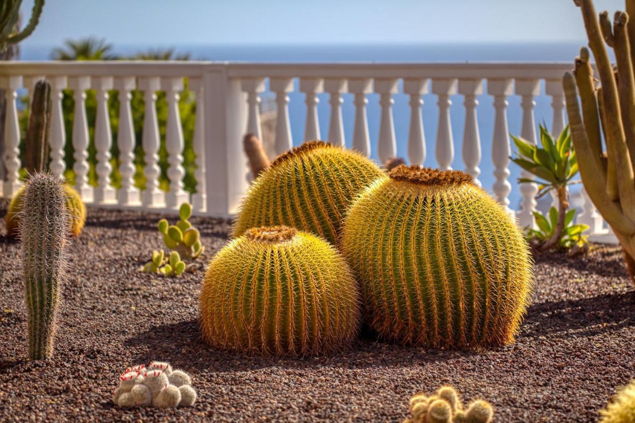 Stunning Villa With Breathtaking Ocean View Пуерто-Ріко Екстер'єр фото